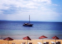 10418322_10203437277268047_8085872521864333334_n (1)