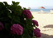 10462831_647335315360862_7229840372234560933_n