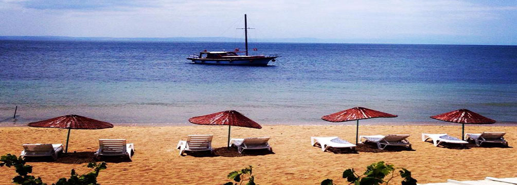 10418322_10203437277268047_8085872521864333334_n (1)